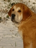 Filename=3,5m-qerubio.jpg
Filesize=104KiB
Dimensions=450x600
Date added=%578 %22, %2008 3,5m-qerubio.jpg