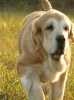 Filename=3m-queenof12.jpg
Filesize=22KiB
Dimensions=337x450
Date added=%978 %12, %2008 3m-queenof12.jpg