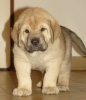 Filename=40d-roxana2a.jpg
Filesize=69KiB
Dimensions=473x550
Date added=%909 %21, %2008 40d-roxana2a.jpg
