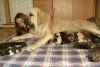 Filename=4days1.jpg
Filesize=205KiB
Dimensions=668x450
Date added=%512 %14, %2009 4days1.jpg