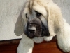 Filename=54d-lois.jpg
Filesize=37KiB
Dimensions=533x400
Date added=%733 %07, %2007 54d-lois.jpg