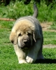 Filename=8t1.jpg
Filesize=82KiB
Dimensions=484x600
Date added=%048 %18, %2011 8t1.jpg