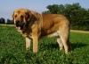 Filename=Don-18%2C5m1.jpg
Filesize=86KiB
Dimensions=512x376
Date added=%022 %06, %2006 Don-18%2C5m1.jpg