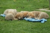 Filename=all12.jpg
Filesize=297KiB
Dimensions=825x550
Date added=%567 %21, %2013 all12.jpg