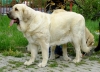 Filename=bb-lois.jpg
Filesize=187KiB
Dimensions=754x550
Date added=%796 %03, %2010 bb-lois.jpg