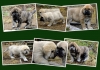 Filename=bhanar1.jpg
Filesize=278KiB
Dimensions=848x600
Date added=%727 %19, %2011 bhanar1.jpg