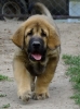 Filename=canon.jpg
Filesize=44KiB
Dimensions=410x550
Date added=%044 %18, %2011 canon.jpg