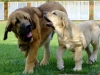 Filename=canon5m1.jpg
Filesize=204KiB
Dimensions=800x600
Date added=%730 %22, %2011 canon5m1.jpg