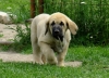 Filename=carmen.jpg
Filesize=106KiB
Dimensions=760x550
Date added=%044 %18, %2011 carmen.jpg