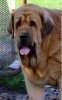 Filename=carrie.jpg
Filesize=81KiB
Dimensions=283x450
Date added=%036 %11, %2013 carrie.jpg