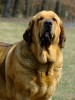 Filename=cas2r3.jpg
Filesize=144KiB
Dimensions=450x600
Date added=%033 %15, %2013 cas2r3.jpg