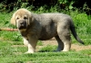 Filename=checo.jpg
Filesize=165KiB
Dimensions=776x550
Date added=%052 %18, %2011 checo.jpg