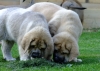 Filename=clyde+cordoba.jpg
Filesize=90KiB
Dimensions=772x550
Date added=%053 %18, %2011 clyde+cordoba.jpg
