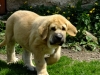 Filename=clyde17.jpg
Filesize=115KiB
Dimensions=733x550
Date added=%053 %18, %2011 clyde17.jpg