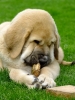 Filename=clyde8.jpg
Filesize=60KiB
Dimensions=450x600
Date added=%065 %18, %2011 clyde8.jpg