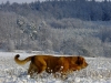 Filename=dali-nearly10m2.jpg
Filesize=399KiB
Dimensions=800x600
Date added=%710 %27, %2010 dali-nearly10m2.jpg