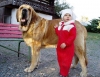 Filename=don.jpg
Filesize=39KiB
Dimensions=472x367
Date added=%019 %06, %2006 don.jpg