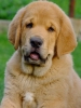 Filename=don7.jpg
Filesize=72KiB
Dimensions=450x600
Date added=%009 %16, %2011 don7.jpg