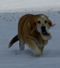 Filename=emily-nearly5m2.jpg
Filesize=84KiB
Dimensions=479x550
Date added=%436 %26, %2012 emily-nearly5m2.jpg