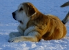 Filename=emily.jpg
Filesize=87KiB
Dimensions=749x550
Date added=%034 %23, %2012 emily.jpg