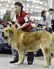 Filename=eurasia2010-simba.jpg
Filesize=60KiB
Dimensions=300x380
Date added=%472 %15, %2010 eurasia2010-simba.jpg