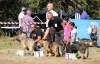 Filename=fresno10.jpg
Filesize=480KiB
Dimensions=852x550
Date added=%499 %25, %2017 fresno10.jpg