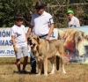 Filename=fresno28.jpg
Filesize=336KiB
Dimensions=641x600
Date added=%499 %25, %2017 fresno28.jpg