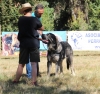 Filename=fresno29.jpg
Filesize=335KiB
Dimensions=633x600
Date added=%499 %25, %2017 fresno29.jpg