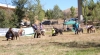 Filename=fresno31.jpg
Filesize=677KiB
Dimensions=1076x600
Date added=%499 %25, %2017 fresno31.jpg