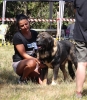 Filename=fresno37.jpg
Filesize=302KiB
Dimensions=526x600
Date added=%500 %25, %2017 fresno37.jpg