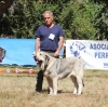 Filename=fresno40.jpg
Filesize=323KiB
Dimensions=604x600
Date added=%500 %25, %2017 fresno40.jpg