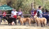 Filename=fresno44.jpg
Filesize=497KiB
Dimensions=890x550
Date added=%500 %25, %2017 fresno44.jpg