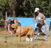 Filename=fresno46.jpg
Filesize=383KiB
Dimensions=629x600
Date added=%500 %25, %2017 fresno46.jpg