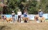 Filename=fresno50.jpg
Filesize=605KiB
Dimensions=961x600
Date added=%500 %25, %2017 fresno50.jpg