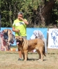 Filename=fresno51.jpg
Filesize=286KiB
Dimensions=504x600
Date added=%500 %25, %2017 fresno51.jpg