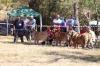 Filename=fresno52.jpg
Filesize=533KiB
Dimensions=900x600
Date added=%500 %25, %2017 fresno52.jpg