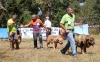Filename=fresno53.jpg
Filesize=576KiB
Dimensions=965x600
Date added=%500 %25, %2017 fresno53.jpg