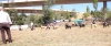 Filename=fresno54.jpg
Filesize=803KiB
Dimensions=1404x600
Date added=%500 %25, %2017 fresno54.jpg