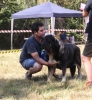 Filename=fresno59.jpg
Filesize=282KiB
Dimensions=552x600
Date added=%500 %25, %2017 fresno59.jpg