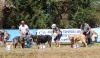 Filename=fresno65.jpg
Filesize=621KiB
Dimensions=1031x600
Date added=%501 %25, %2017 fresno65.jpg