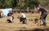 Filename=fresno7.jpg
Filesize=460KiB
Dimensions=869x550
Date added=%499 %25, %2017 fresno7.jpg
