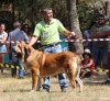Filename=fresno70.jpg
Filesize=400KiB
Dimensions=649x600
Date added=%501 %25, %2017 fresno70.jpg