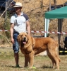 Filename=fresno74.jpg
Filesize=310KiB
Dimensions=575x600
Date added=%501 %25, %2017 fresno74.jpg
