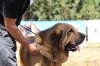Filename=fresno92.jpg
Filesize=328KiB
Dimensions=900x600
Date added=%502 %25, %2017 fresno92.jpg
