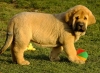 Filename=garcia.jpg
Filesize=270KiB
Dimensions=816x600
Date added=%902 %04, %2011 garcia.jpg