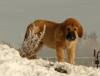 Filename=grande7.jpg
Filesize=138KiB
Dimensions=785x600
Date added=%696 %17, %2009 grande7.jpg
