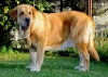 Filename=historia7let1.jpg
Filesize=318KiB
Dimensions=766x550
Date added=%064 %23, %2012 historia7let1.jpg