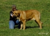 Filename=kv2011-kayla9.jpg
Filesize=530KiB
Dimensions=823x600
Date added=%603 %02, %2011 kv2011-kayla9.jpg