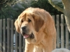 Filename=leon7mes9.jpg
Filesize=60KiB
Dimensions=640x480
Date added=%999 %31, %2011 leon7mes9.jpg