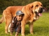 Filename=leonek2r.jpg
Filesize=143KiB
Dimensions=640x480
Date added=%397 %12, %2012 leonek2r.jpg